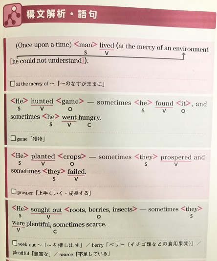 英語長文プラチナルールの文構造の解説