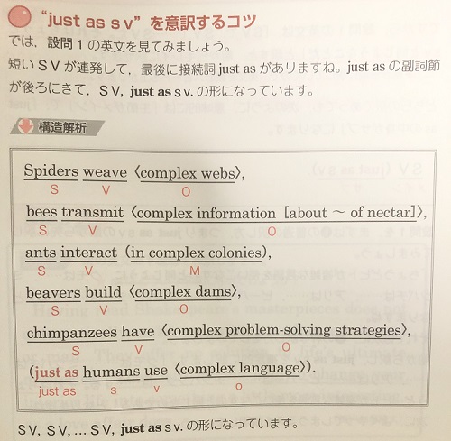 世界一わかりやすい英文読解の特別講座の構造解析