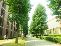 大学のオープンキャンパスとは