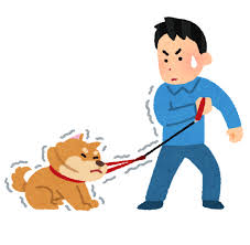 【高校物理】運動方程式とは