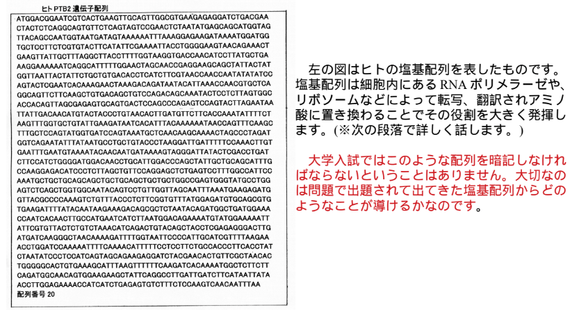 塩基配列表