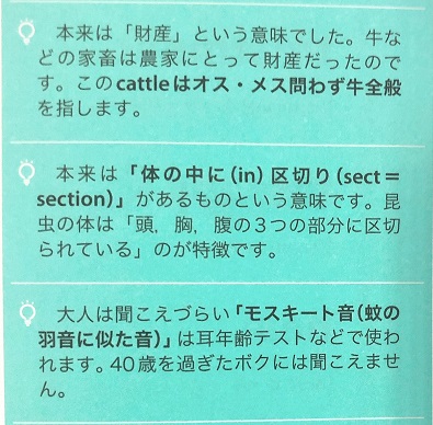 英単語Stock