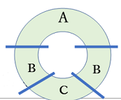 多細胞図１